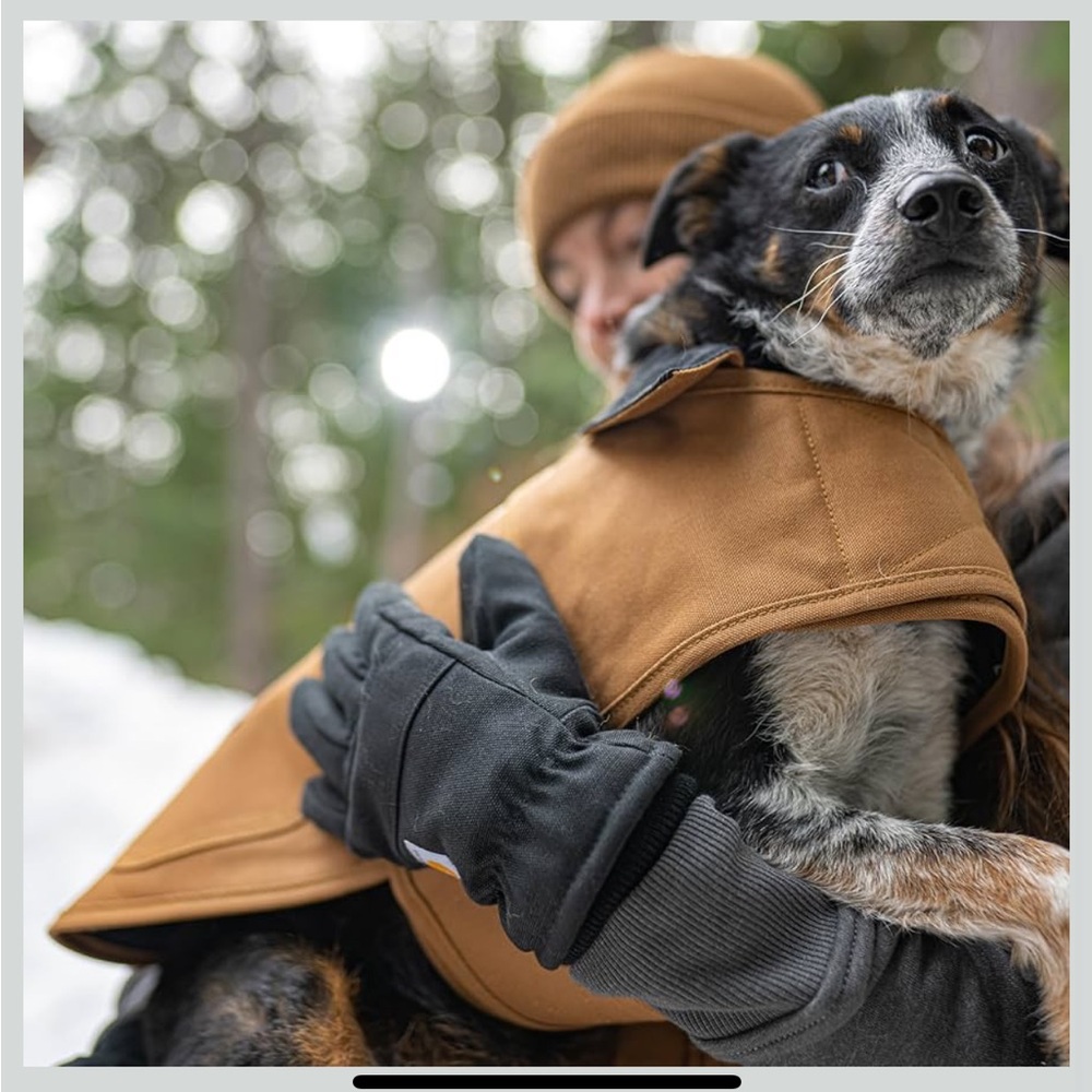 Carhartt Dog Coat - plum wine color